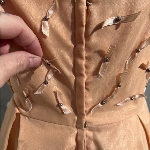 Vintage 60s Frothy Peaches & Cream Organdy Gown - Picture 4 of 8